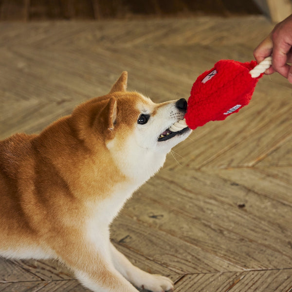 MANDARINE BROTHERS ( マンダリンブラザーズ ) ROPE DISC TOY | ロープ | おもちゃ | 玩具 | イヌ | 犬 | ペット | ペット用おもちゃ | 可愛い | カラフル | 室内 | 屋外 | まんだりんぶらざーず