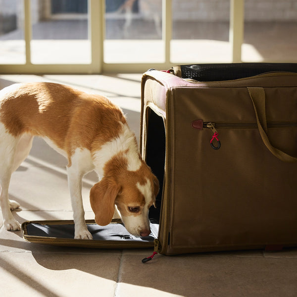MANDARINE BROTHERS ( マンダリンブラザーズ ) BRIXTON CARRY BACKPACK -WIDE-| ペット | 犬 | 犬用品 | 外出 | リュック | 愛犬 | ダブルメッシュ | 旅行 | 15kg