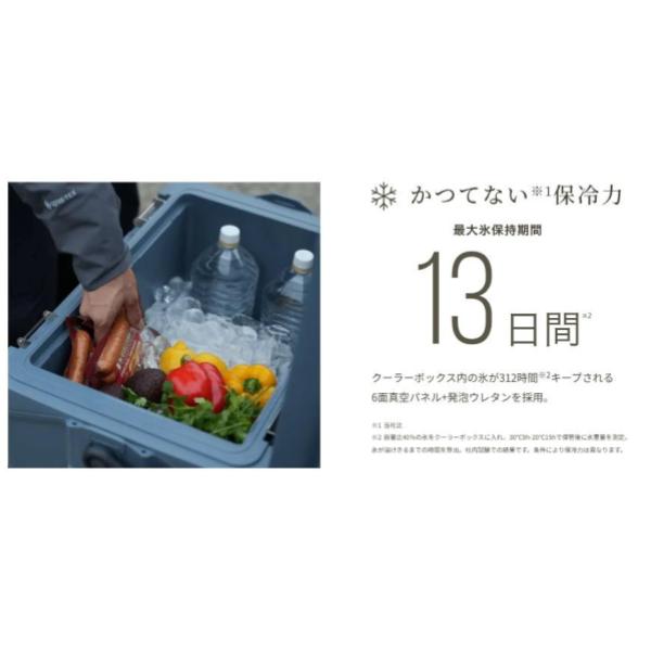 SHIMANO ( シマノ ) VACILAND PRO アンヴィルグレー | 32リットル | 40リットル | クーラーボックス | ハードクーラー | クーラー | 釣り | キャンプ | アウトドア | レジャー | 運動会 | 保冷 | 日本製 | NX-032WA | NX-040WA | ヴァシランド | しまの