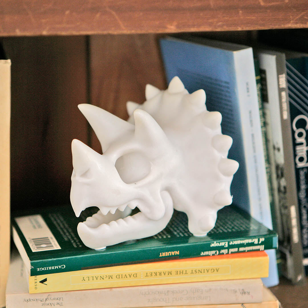 DULTON ( ダルトン ) SKELETON HEAD スケルトン ヘッド | オブジェ