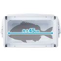 SHIMANO ( シマノ ) ユニフリーズ 20L | BS | クーラー | クーラーボックス | 保冷 | キャンプ | 釣り | アウトドア | レジャー | 水抜き | 内寸45cm | 定番 |  ロゴ | シンプル | 座れる | 両面開き | ハードクーラー