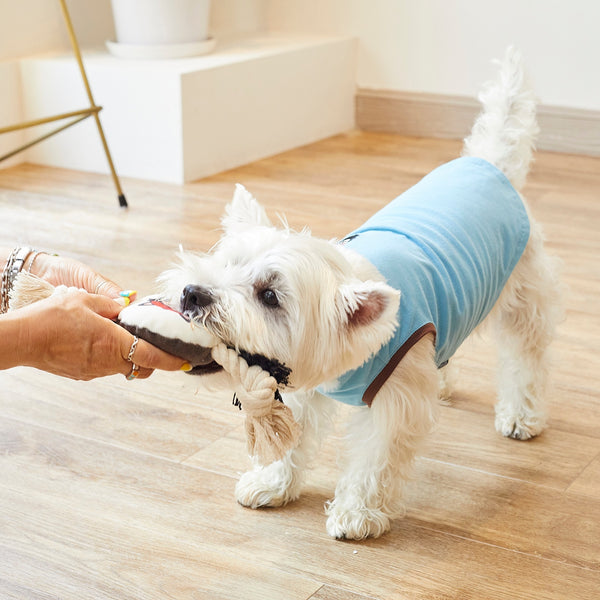 MANDARINE BROTHERS ( マンダリンブラザーズ ) Chi-bee CRAZY AWESOME ROPE TOY | おもちゃ | ロープ | 犬 | イヌ | 室内 | 屋外 | ストレス発散 | まんだりんぶらざーず