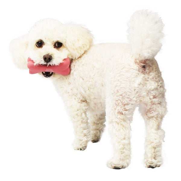 MANDARINE BROTHERS ( マンダリンブラザーズ ) LATEX BONE TOY | おもちゃ | イヌ | 犬 | 骨の形 | ストレス発散 | 室内 | 屋外 | 可愛い | まんだりんぶらざーず