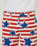 LOUDMOUTh（ラウドマウス）メンズ ショートパンツ ツイル素材 インディペンデンスフラッグ UV/ストレッチ　763302-349