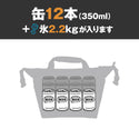【 新色 】 AO Coolers ( エーオークーラーズ ) 12パック キャンバス ソフトクーラー | クーラーバッグ | 保冷 | ソフト | 軽い | 人気 | 定番 | キャンプ | 運動会 | アウトドア | レジャー | 釣り | AO12