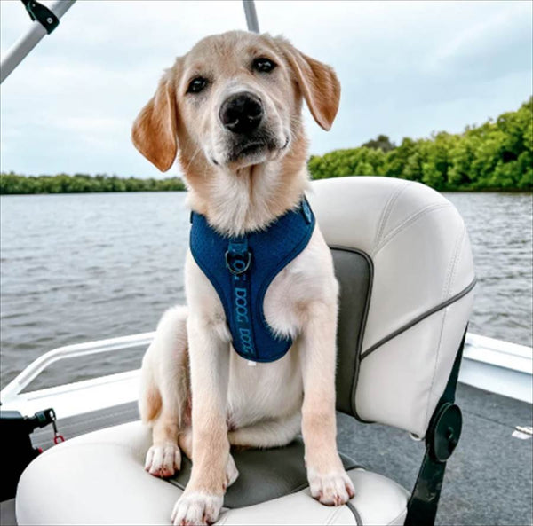 DOOG ( ドゥーグ ) ネオスポーツ ハーネス 犬用ハーネス ネオプレン アウトドア犬用ハーネス 調節可能な犬用ハーネス 軽量犬用ハーネス 耐久性 犬用スポーツハーネス 小型犬 中型犬 大型犬 耐水 速乾 ハーネス