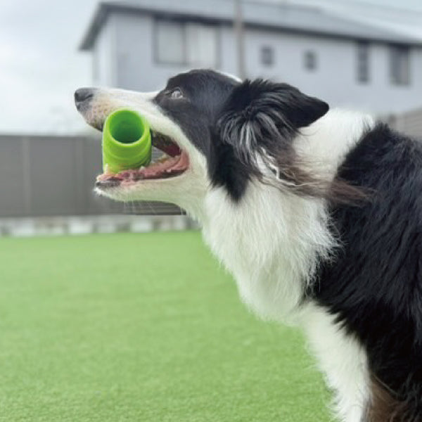 PLATZ ( プラッツ ) JOYSER ホールスティック | ペット | イヌ | 犬 | ストレス発散 | おもちゃ | 玩具 | 散歩 | ドッグラン | アウトドア | お出かけ | レジャー | キャンプ | 水に浮く | 音が鳴る | JS75385 | JS75386