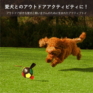 DIFA ( ディファ ) 犬 おもちゃ ボール ドッグトイ ボール遊び 水遊び ファミリエボール カラフル 犬用 サッカーボール タグ付き ボールサイズ 小型犬 中型犬 大型犬 サッカーボール タグ付き 室内 屋外 運動不足 ストレス 解消 水に浮く 丈夫 水遊び アウトドア