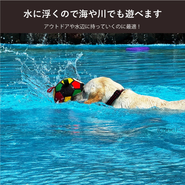 DIFA ( ディファ ) 犬 おもちゃ ボール ドッグトイ ボール遊び 水遊び ファミリエボール カラフル 犬用 サッカーボール タグ付き ボールサイズ 小型犬 中型犬 大型犬 サッカーボール タグ付き 室内 屋外 運動不足 ストレス 解消 水に浮く 丈夫 水遊び アウトドア
