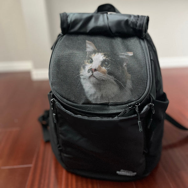MANDARINE BROTHERS ( マンダリンブラザーズ ) WINSTON HUG BAG LARGE | キャリーバッグ | 大きめ | ペット | 犬 | 猫 | ネコ | 抱っこ | 2way | お出かけ | 移動 | メッシュ | 10kgまで | まんだりんぶらざーず