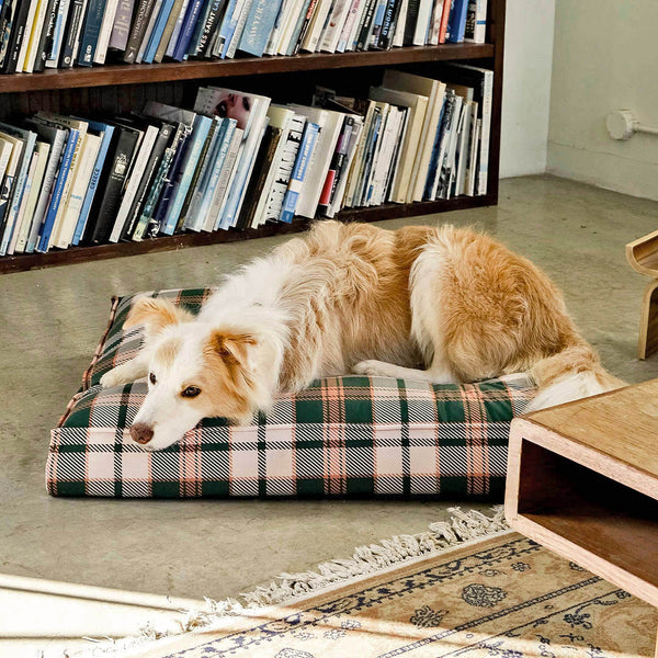 DULTON ( ダルトン ) CHECK DOG BED チェック ドッグベッド | ペット | ペット用ベッド | ベッド | ドッグベッド | 小型犬 | 大型犬 | 中型犬 | オススメ | くつろぎスペース | 室内 | 洗える | 洗濯機可