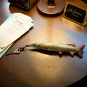 DULTON ( ダルトン ) LITTLE FISHES リトル フィッシーズ | 魚 | キーホルダー | ソフト | クッション | 柔らかい | お魚 | フィッシュ | 大きめ | 存在感 | プレゼント | 釣り | Y-0636 | だるとん
