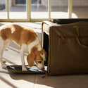 MANDARINE BROTHERS ( マンダリンブラザーズ ) BRIXTON CARRY BACKPACK －WIDE－| ペット | 犬 | 犬用品 | 外出 | リュック | 愛犬 | ダブルメッシュ | 旅行 | 15kg