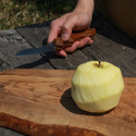 FEDECA ( フェデカ ) 　折畳式料理ナイフ