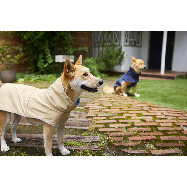 MANDARINE BROTHERS ( マンダリンブラザーズ ) RAIN JACKET | ウェア | 犬 | ドッグウェア | レインジャケット | カッパ | 雨 | 散歩 | 撥水 | オシャレ | シンプル | 愛犬 | メッシュ | オールシーズン | 梅雨 | まんだりんぶらざーず