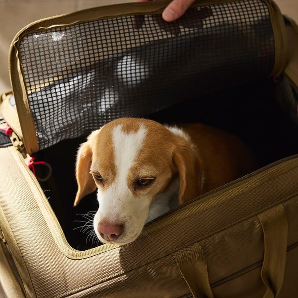 MANDARINE BROTHERS ( マンダリンブラザーズ ) BRIXTON CARRY BACKPACK －WIDE－| ペット | 犬 | 犬用品 | 外出 | リュック | 愛犬 | ダブルメッシュ | 旅行 | 15kg
