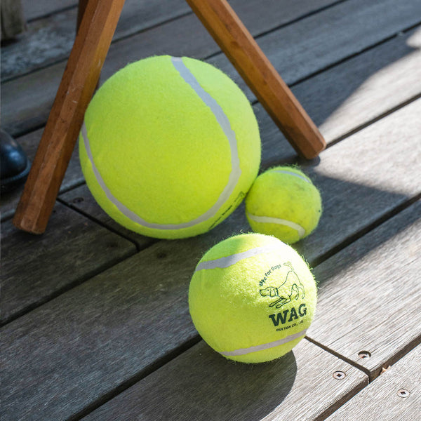 DULTON ( ダルトン ) TENNIS BALL テニスボール | 犬 | 愛犬 | おもちゃ | ボール | ストレス発散 | 遊び | 犬用テニスボール | 小型犬 | 中型犬 | 大型犬 | 丈夫 | 耐久性 | ドッグラン | お散歩 | 公園 | お出かけ | アクティブ | Y-0846 | だるとん