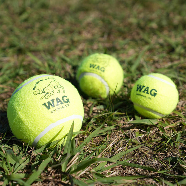 DULTON ( ダルトン ) TENNIS BALL テニスボール | 犬 | 愛犬 | おもちゃ | ボール | ストレス発散 | 遊び | 犬用テニスボール | 小型犬 | 中型犬 | 大型犬 | 丈夫 | 耐久性 | ドッグラン | お散歩 | 公園 | お出かけ | アクティブ | Y-0846 | だるとん