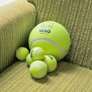 DULTON ( ダルトン ) TENNIS BALL テニスボール | 犬 | 愛犬 | おもちゃ | ボール | ストレス発散 | 遊び | 犬用テニスボール | 小型犬 | 中型犬 | 大型犬 | 丈夫 | 耐久性 | ドッグラン | お散歩 | 公園 | お出かけ | アクティブ | Y-0846 | だるとん