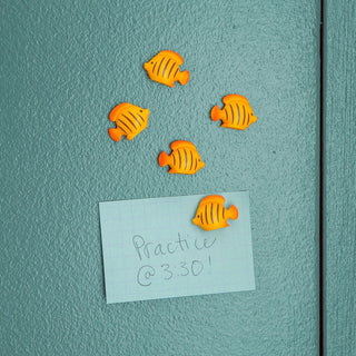 KIKKERLAND ( キッカーランド ) Fish Magnets KMG98 フィッシュマグネット 5個セット マグネット 磁石 冷蔵庫 オフィス デスク 雑貨 インテリア おしゃれ ギフト プレゼント