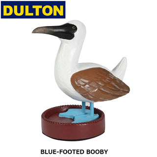 DULTON ( ダルトン ) スタンド オーガナイザー | ペリカン | ブルー フッテッド ブービー | アオアシカツオドリ | インテリア | メガネ置き | ハンドメイド | RN-1149O | 可愛い | 置物 | だるとん
