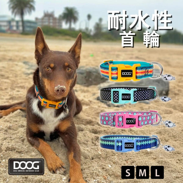 DOOG ( ドゥーグ ) ネオフレックス ドッグカラー 犬用首輪 ネオプレン犬用首輪 耐水性 速乾性 おしゃれ 軽量犬用首輪 耐久性 アウトドア向け犬用首輪 速乾性犬用首輪 犬 耐水 首輪 速乾