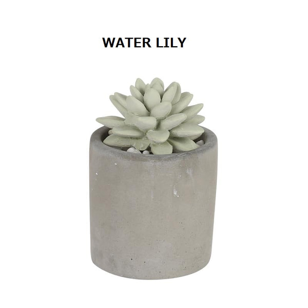 DULTON ( ダルトン ) LITTLE GEM FRAGRANCE DIFFUSER リトル ジェム フレグランス ディフューザー | G875-959 | だるとん | サボテン | インテリア | 可愛い | 落ち着く | 香り | 芳香剤