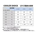 COOLER SHOCK ( クーラーショック ) くーらーしょっく | 保冷剤 | 繰り返し | アウトドア | キャンプ | 釣り | レジャー | 薄い | かさばらない | マイナス | セット | 単品 | 選べる
