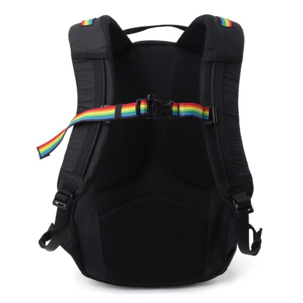 CHUMS ( チャムス ) スプリングデール20 | デイパック | リュック | リュックサック | バックパック | デイパック | 旅行 | 通勤 | 通学 | CH60-4099 | レジャー | アウトドア | 日帰り | トレッキング | 登山 | ちゃむす