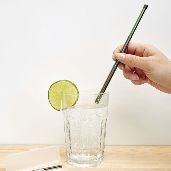 KIKKERLAND ( キッカーランド ) Iridescent Travel Straw Set イリデセント トラベルストローセット | 持ち運び用ストロー | ストロー | アウトドア | キャンプ | ピクニック | ステンレス | 環境にやさしい | KCU297 | きっかーらんど