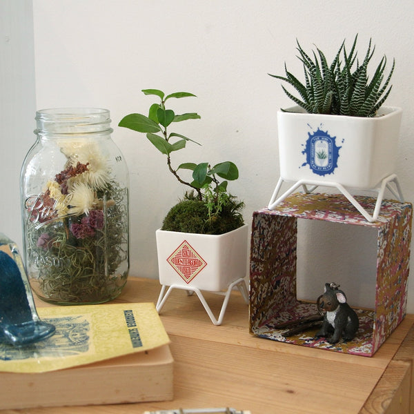 DETAIL ( ディテール ) Plant Pot w/stand 60 プラントポット w スタンド 60 | 小さな植木鉢 | 植木鉢 | 小さい | 小さめ | プランター | 磁器 | コンパクト | オシャレ | H008660 | でぃてーる | グリーン | レッド
