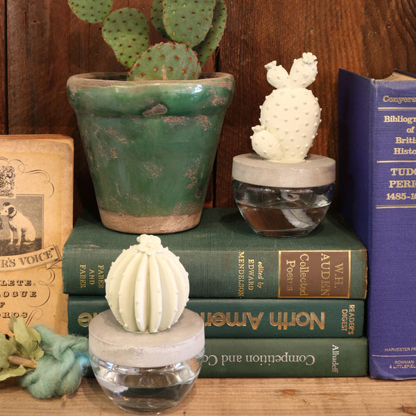 DULTON ( ダルトン ) CACTUS FRAGRANCE DIFFUSER カクタス フレグランス ディフューザー | 芳香剤 | サボテン | さぼてん | リビング | バスルーム | 書斎 | インテリア | プレゼント | だるとん | G675-824