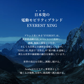 【先行予約キャンペーン！8月末まで！】EVEREST XING CITY+ 電動アシスト自転車 20インチ 子供乗せ対応 通勤 通学 型式認定取得済み 電動自転車 ママにオススメ