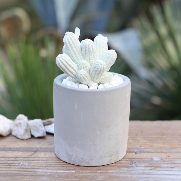 DULTON ( ダルトン ) LITTLE GEM FRAGRANCE DIFFUSER リトル ジェム フレグランス ディフューザー | G875-959 | だるとん | サボテン | インテリア | 可愛い | 落ち着く | 香り | 芳香剤