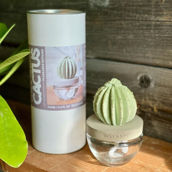 DULTON ( ダルトン ) CACTUS FRAGRANCE DIFFUSER カクタス フレグランス ディフューザー | 芳香剤 | サボテン | さぼてん | リビング | バスルーム | 書斎 | インテリア | プレゼント | だるとん | G675-824