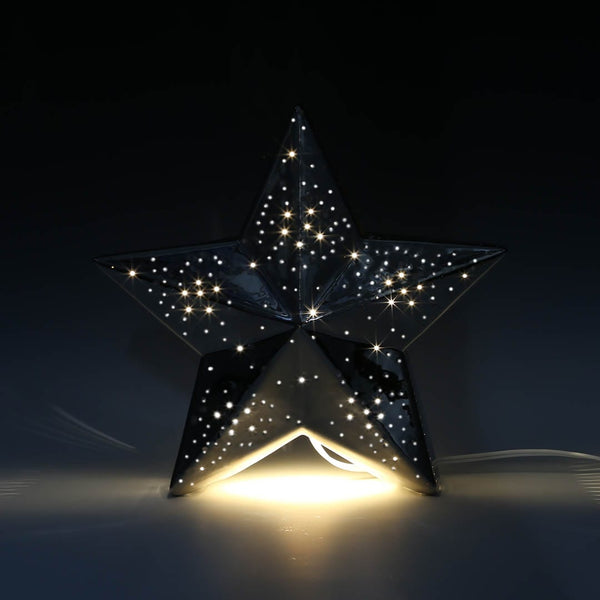 DULTON ( ダルトン ) PORCELAIN STAR LIGHT  ポーセリン スター ライト | 光る | ランプ | LED | 寝室 | 星 | 星型 | 置物 | インテリア | 可愛い | リビング | 玄関 | プレゼント | CMD-0910 | だるとん | クリスマス