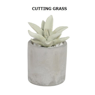 DULTON ( ダルトン ) LITTLE GEM FRAGRANCE DIFFUSER リトル ジェム フレグランス ディフューザー | G875-959 | だるとん | サボテン | インテリア | 可愛い | 落ち着く | 香り | 芳香剤