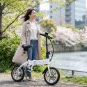 RICHBIT ( リッチビット ) RICHBIT CITY 特定小型原付 特定小型原動機付自転車 電動バイク 電動モビリティ 電動自転車 14インチ 折りたたみ 軽量 コンパクト 免許不要 通勤 通学 街乗り