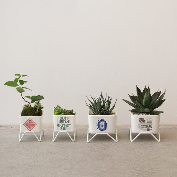 DETAIL ( ディテール ) Plant Pot w/stand 60 プラントポット w スタンド 60 | 小さな植木鉢 | 植木鉢 | 小さい | 小さめ | プランター | 磁器 | コンパクト | オシャレ | H008660 | でぃてーる | グリーン | レッド