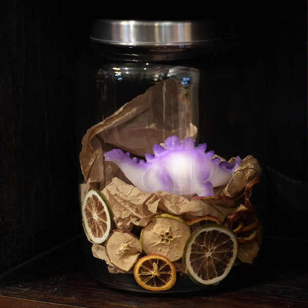 DULTON ( ダルトン ) LED DINOLIGHT LED ダイナライト ブラキオサウルス | ティーレックス | ステゴサウルス | トリケラトプス | 恐竜 | ライト | 小型ライト | ミニチュアサイズ | カラフル | 可愛い | 電池 | X24-0709 | だるとん