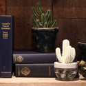 DULTON ( ダルトン ) CACTUS FRAGRANCE DIFFUSER カクタス フレグランス ディフューザー | 芳香剤 | サボテン | さぼてん | リビング | バスルーム | 書斎 | インテリア | プレゼント | だるとん | G675-824