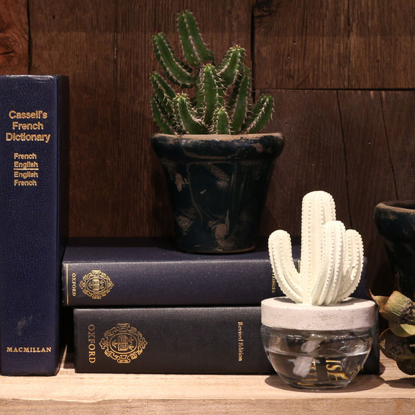 DULTON ( ダルトン ) CACTUS FRAGRANCE DIFFUSER カクタス フレグランス ディフューザー | 芳香剤 | サボテン | さぼてん | リビング | バスルーム | 書斎 | インテリア | プレゼント | だるとん | G675-824