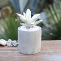DULTON ( ダルトン ) LITTLE GEM FRAGRANCE DIFFUSER リトル ジェム フレグランス ディフューザー | G875-959 | だるとん | サボテン | インテリア | 可愛い | 落ち着く | 香り | 芳香剤