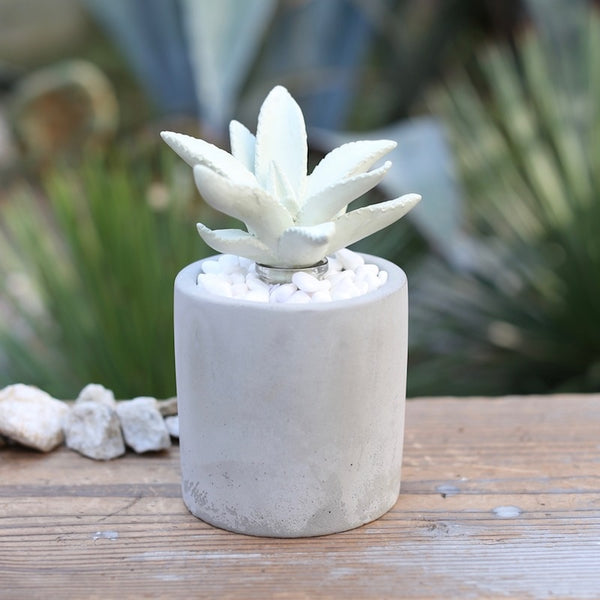 DULTON ( ダルトン ) LITTLE GEM FRAGRANCE DIFFUSER リトル ジェム フレグランス ディフューザー | G875-959 | だるとん | サボテン | インテリア | 可愛い | 落ち着く | 香り | 芳香剤