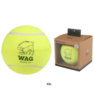 DULTON ( ダルトン ) TENNIS BALL テニスボール | 犬 | 愛犬 | おもちゃ | ボール | ストレス発散 | 遊び | 犬用テニスボール | 小型犬 | 中型犬 | 大型犬 | 丈夫 | 耐久性 | ドッグラン | お散歩 | 公園 | お出かけ | アクティブ | Y-0846 | だるとん