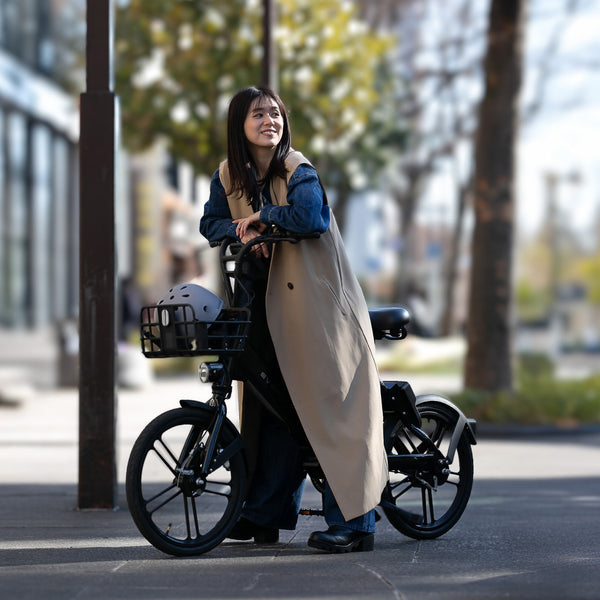 【先行予約キャンペーン！8月末まで！】EVEREST XING CITY+ 電動アシスト自転車 20インチ 子供乗せ対応 通勤 通学 型式認定取得済み 電動自転車 ママにオススメ