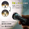 SWAG GEAR ( スワッグギア ) SWAG GEAR LED FLASH LIGHT | ライト | ランタン | 小型ライト | アウトドア | 防災 | キャンプ | 250ルーメン | 明るい | 充電式 | 懐中電灯 | マグネット | 吊り下げ | 手のひらサイズ | 防災グッズ | すわっぐぎあ | A-417