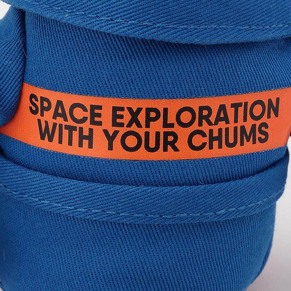 CHUMS ( チャムス ) スペースブービーキーホルダー キーホルダー キーリング キーチェーン キーアクセサリー ブービーバード スペースブービー 宇宙 SPACE チャーム バッグ リュック カバン 鍵 雑貨 小物 アクセサリー CH62-2298