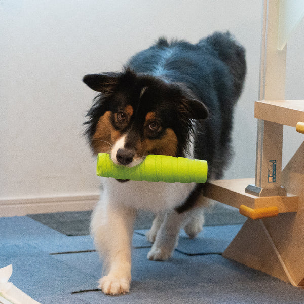 PLATZ ( プラッツ ) JOYSER ホールスティック | ペット | イヌ | 犬 | ストレス発散 | おもちゃ | 玩具 | 散歩 | ドッグラン | アウトドア | お出かけ | レジャー | キャンプ | 水に浮く | 音が鳴る | JS75385 | JS75386