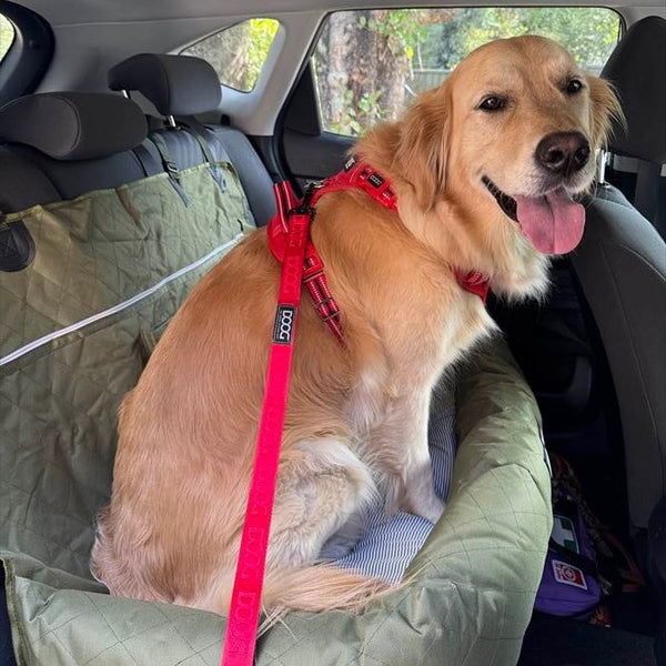 DOOG ( ドゥーグ ) ネオスポーツ ドッグリードS 犬用リード ネオプレン 軽量リード 耐水性 速乾性 アウトドア おしゃれ 犬 小型 犬用ハーネス取り付け 犬 耐水 速乾 リード ドッグリード